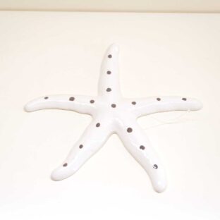 Stella Marina in ceramica