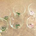 Set 6 Bicchieri Collezione “Exotic Treasure”