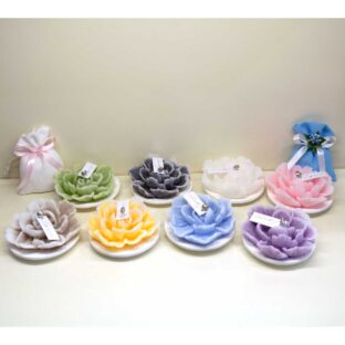 Peonia di Cera Con Base in Ceramica
