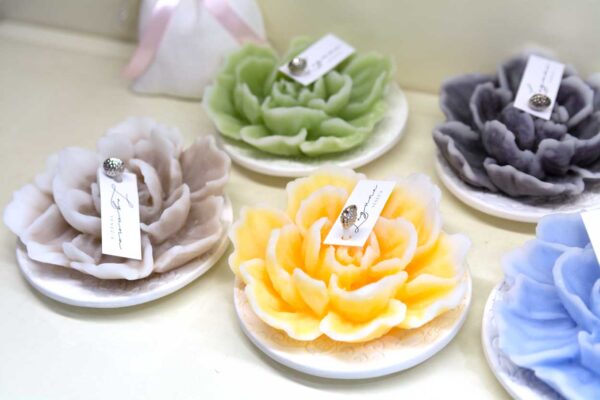 Peonia di Cera Con Base in Ceramica