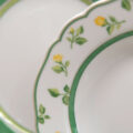 Servizio Piatti 41 pezzi "Summerdream Green" Hutschenreuther