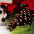 Centrotavola Natalizio "Stella di Natale Rossa"