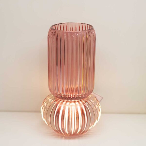 Vaso Portafiori con Luce al Led Vaso Portafiori con Luce al Led