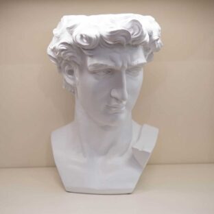 Busto di “David” Bianco