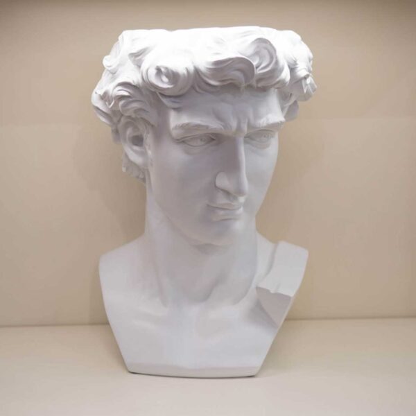 Busto di “David” Bianco