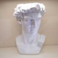Busto di “David” Bianco
