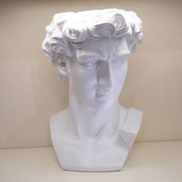 Busto di “David” Bianco