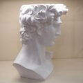 Busto di “David” Bianco