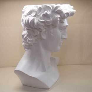 Busto di “David” Bianco