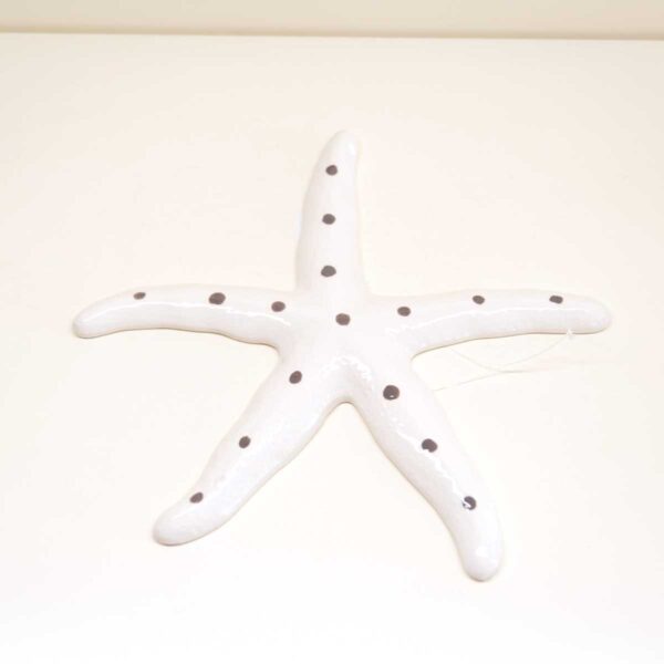 Stella Marina in ceramica Stella Marina in ceramica
