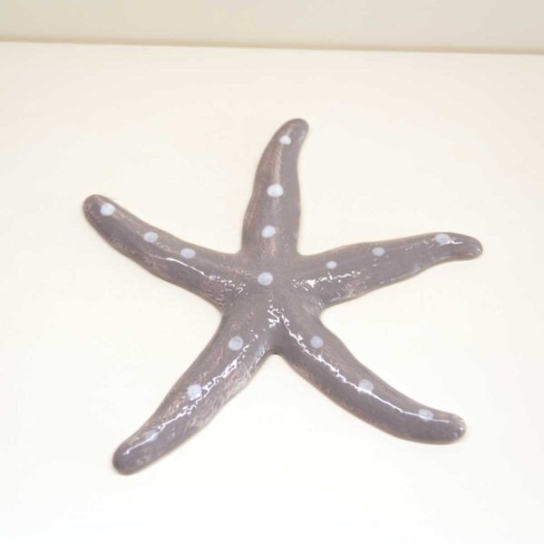Stella Marina in ceramica Stella Marina in ceramica