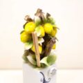 Profumambiente albero limoni