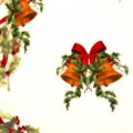 Piatto Torta - Panettone “Christmas Carol”